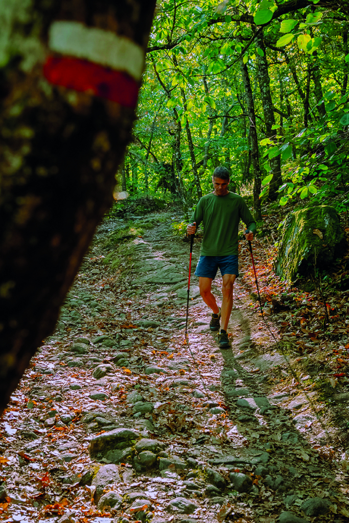 26 circuits de randonnée © Rodez agglomération/Adélaïde Maisonabe-Nuuk photographies un randonneur dans une forêt avec des bâtons de marche